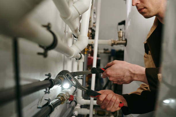 Best Garbage Disposal Repair and Installation  in Belle Plaine, IA